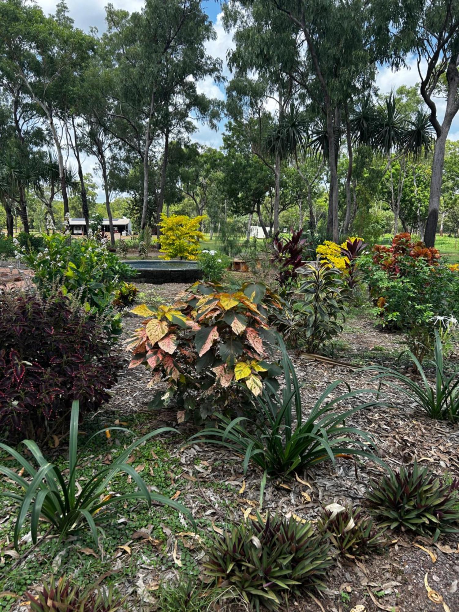 Litchfield Tropical Stay Batchelor 外观 照片