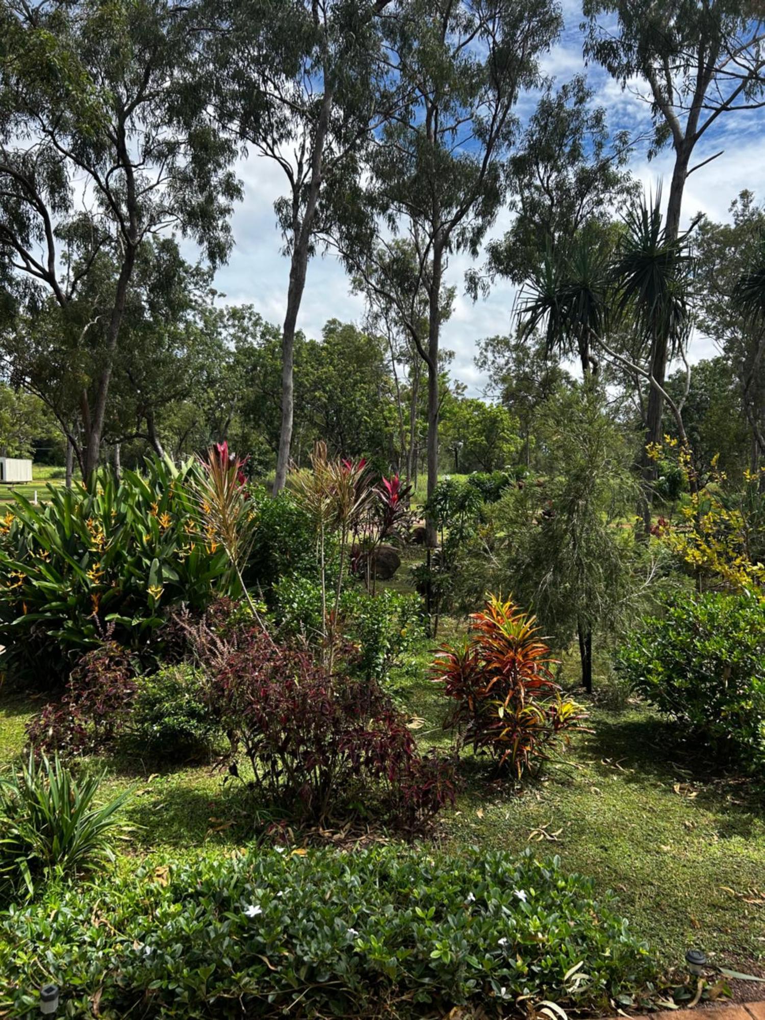Litchfield Tropical Stay Batchelor 外观 照片